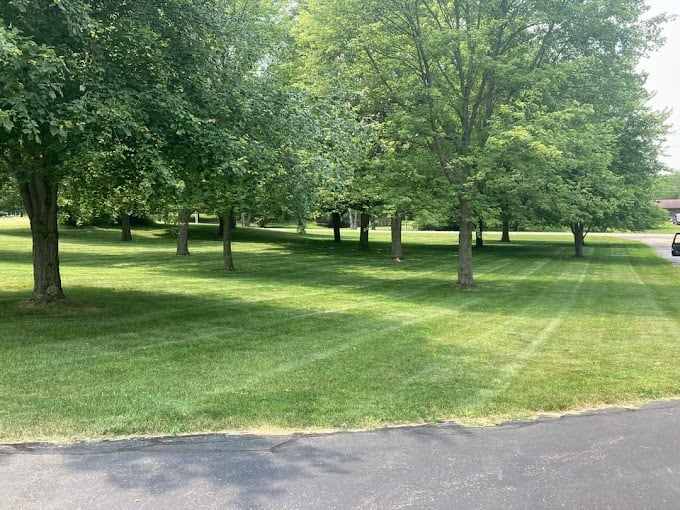 The lawn of a satisfied client