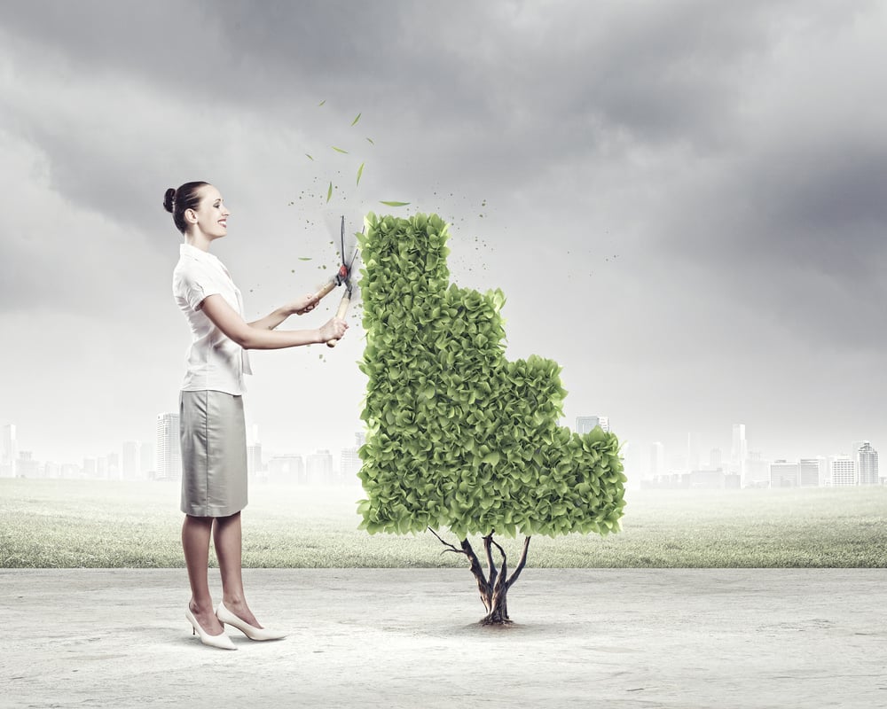 Young happy businesswoman cutting bush shaped like graph. Growth concept